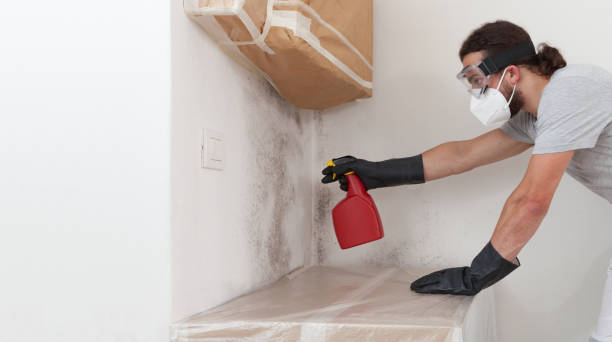 Professional Mold Remediation technician working in Dendron, VA