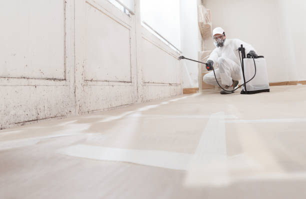 24/7 Emergency Mold Remediation experts in Dendron, VA
