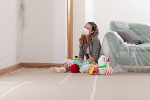 Reliable Mold Remediation contractor in Dendron, VA by 24 Hour Mold Removal